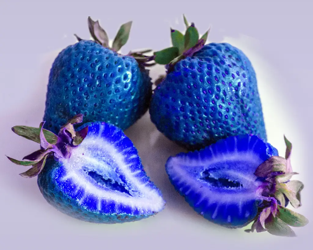 https://lenpenzo.com/blog/wp-content/uploads/2016/06/blue-strawberries.jpg
