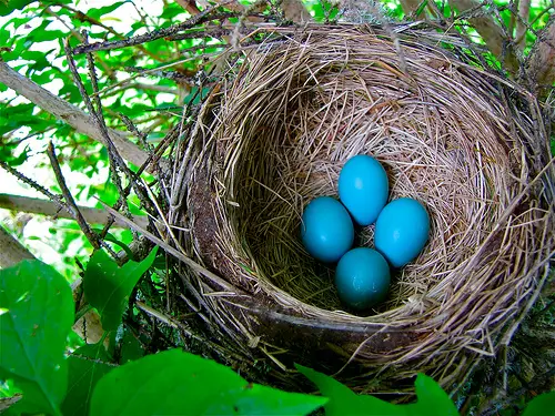 Why It Pays to Start Saving Early for Retirement