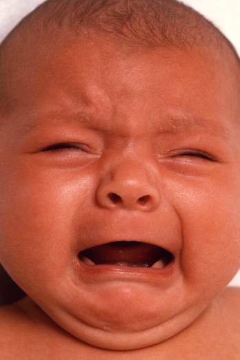 Don’t Be a Wimp! Here Are 22 Things You Should Always Haggle For Don’t Be a Wimp! Here Are 22 Things You Should Always Haggle For